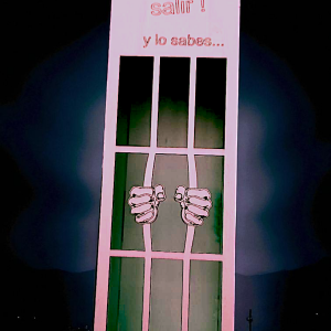 Caja para vino/licor ref. Dejame Salirrr